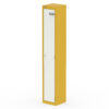 Lemon Yellow And Satin White