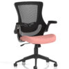 Bespoke Colour Seat Quest Shrimp