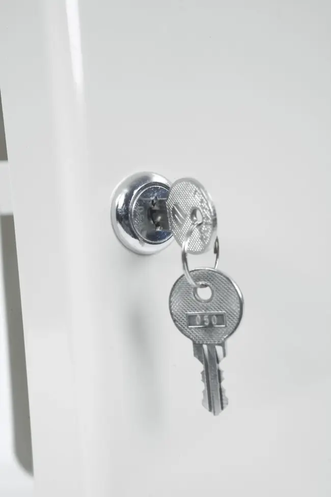 Phoenix Key Box - Image 4